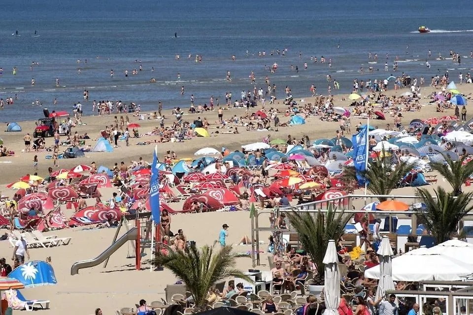 Seas The Day Apartment Zandvoort