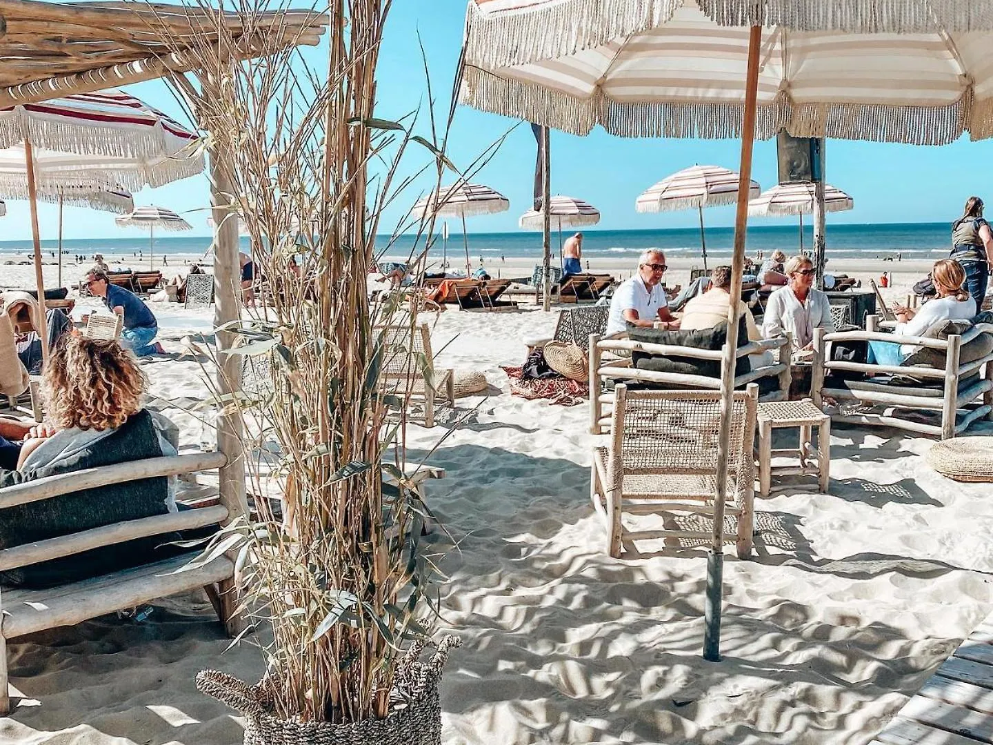 Seas The Day Apartment Zandvoort